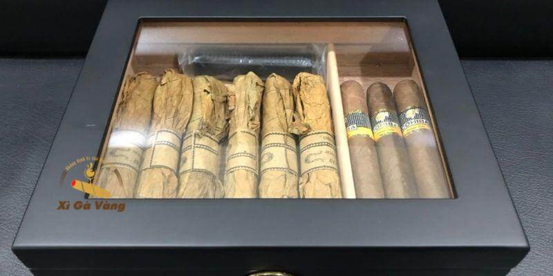 Hướng dẫn bảo quản xì gà đúng cách tại nhà